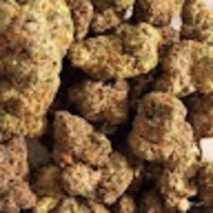 Meet your Posher, Zach